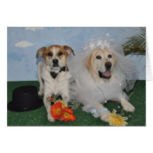 Carte de mariage, photo de 2 chiens le jour du mar