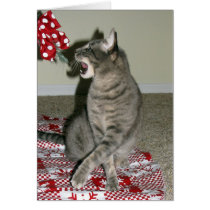 Carte de Noël de chat cartes