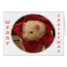 Carte de Noël de furet