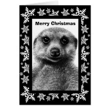 Carte de Noël de Meerkat