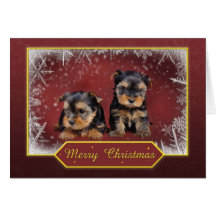 Carte de Noël de terrier de Yorkshire