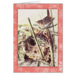 Carte de Noël vintage de roitelet