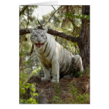 Carte de note blanche de tigre