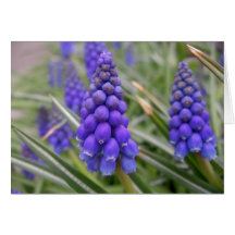 Carte de note bleue renversante