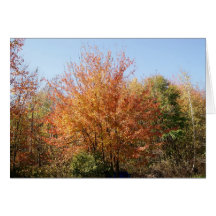 Carte de note croquante de jour d'automne