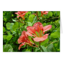 Carte de note de blanc de fleur de ketmie