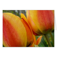 Carte de note de deux tulipes