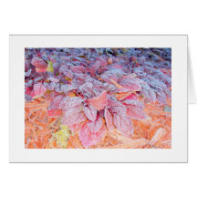 Carte de note "de la splendeur de l'automne "