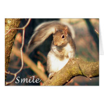 Carte de note de M. Squirrel de sourire