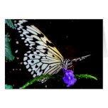 Carte de note de papillon