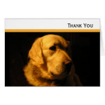 Carte de note de portrait de golden retriever