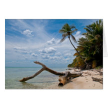 Carte de note des Caraïbes de Shoreline