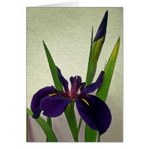 Carte de note d'iris de la Louisiane