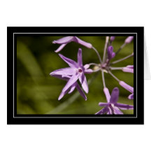Carte de note pourpre de fleur sauvage