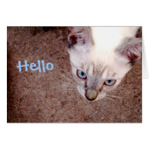 Carte de note siamoise de chaton "bonjour "