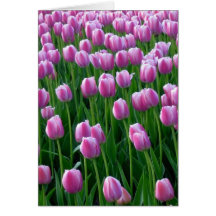 Carte de Pâques des tulipes 14
