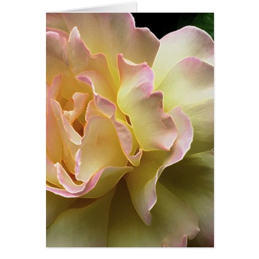 Carte de Pâques glorieuse de rose jaune