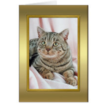 Carte de pedigree de chat