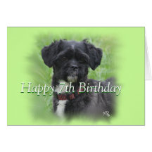 Carte de petit toute occasion