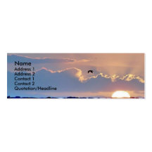 Carte de profil de coucher du soleil de mouette cartes de visite professionnelles