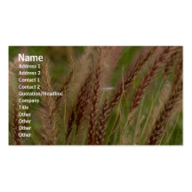 Carte de profil de fleurs carte de visite