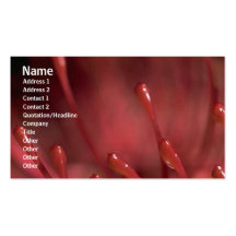 Carte de profil de fleurs modèle de carte de visite