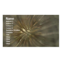 Carte de profil de fleurs cartes de visite personnelles