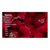 Carte de profil de fleurs cartes de visite personnelles