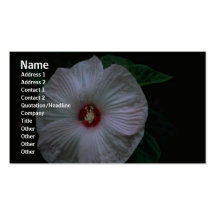 Carte de profil de fleurs cartes de visite personnelles
