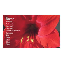 Carte de profil de fleurs modèle de carte de visite