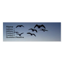 Carte de profil de silhouette d'oiseau cartes de visite personnelles