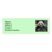 Carte de profil d'ours panda modèles de cartes de visite