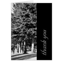 Carte de remerciements avec des arbres