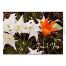 Carte de remerciements blanc et orange de tulipes