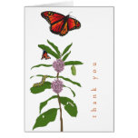 Carte de remerciements de Metamorposis de monarque