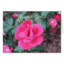 Carte de remerciements de rose de rose