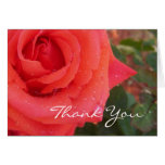 Carte de remerciements de rose rouge