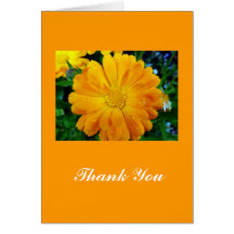 carte de remerciements jaune de fleur de marguerit