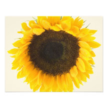 Carte de réponse de tournesol faire-parts