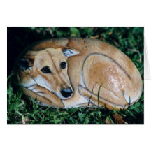 Carte de roche de chien de "Phoebe"
