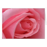 Carte de rose de rose