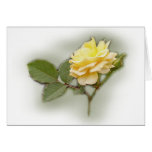 Carte de rose jaune