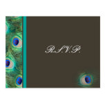 carte de rsvp de mariage de bleu de paon cartes postales
