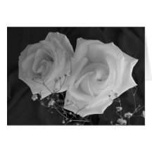 Carte de Saint-Valentin - roses blancs