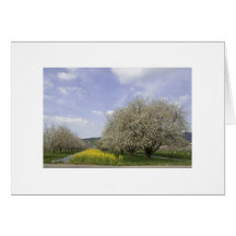 Carte de salutation printemps dans la Forêt Noire