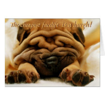 Carte de Shar-pei de remontée du visage