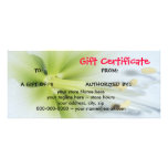 Carte de support de fleur de certificat-prime      carte double en  couleur