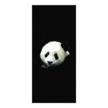 Carte de support d'ours panda carte double en  couleur