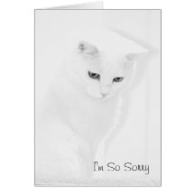 Carte de sympathie de chat d'ange