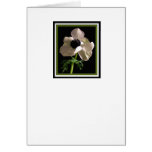 Carte de sympathie de fleur